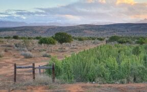 Imperative Secures $91 Million To Scale South Africa Ecosystem Restoration Project