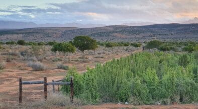 Imperative Secures $91 Million To Scale South Africa Ecosystem Restoration Project