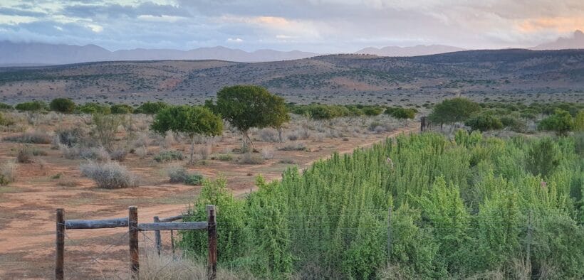 Imperative Secures $91 Million To Scale South Africa Ecosystem Restoration Project