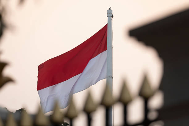 Indonesia Sets B50 Biofuel Mandate by 2028 to Cut Imports, Strengthen Energy Security