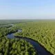 Mangrove Systems Expands Biochar MRV Platform With Grain Ecosystem Acquisition