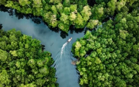 Peru Amazon Low Carbon Research Center Targets Biodiversity Protection, Climate Resilience