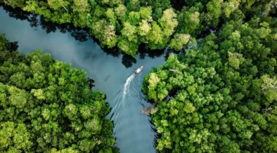 Peru Amazon Low Carbon Research Center Targets Biodiversity Protection, Climate Resilience