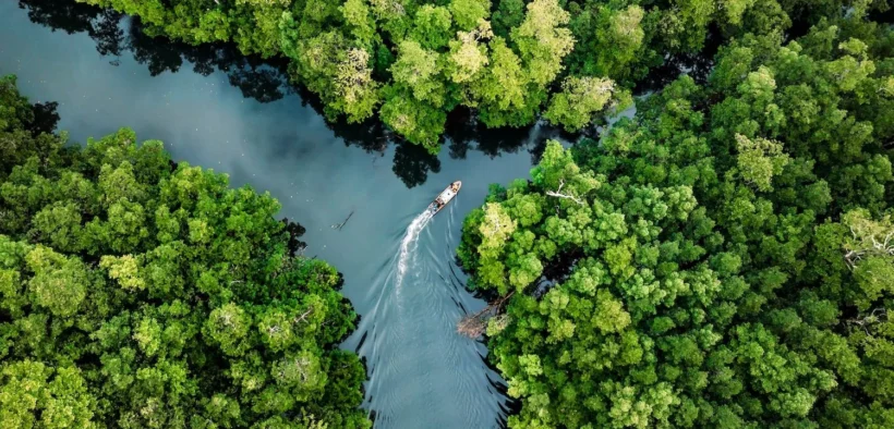 Peru Amazon Low Carbon Research Center Targets Biodiversity Protection, Climate Resilience