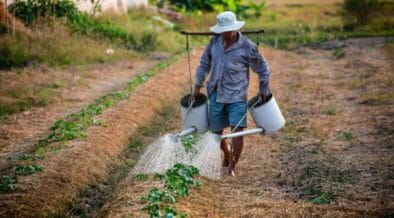 Bangladesh Farmers to Earn Carbon Revenue From First Verra Agroforestry Credits