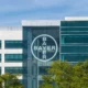 Bayer, bp Partner To Scale Camelina For Renewable Diesel And SAF Markets