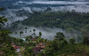 Indonesia Targets 12 Million Hectares for Reforestation as Carbon Credit Strategy Takes Shape