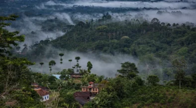 Indonesia Targets 12 Million Hectares for Reforestation as Carbon Credit Strategy Takes Shape
