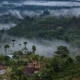 Indonesia Targets 12 Million Hectares for Reforestation as Carbon Credit Strategy Takes Shape