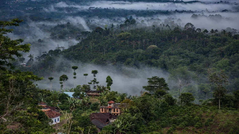 Indonesia Targets 12 Million Hectares for Reforestation as Carbon Credit Strategy Takes Shape