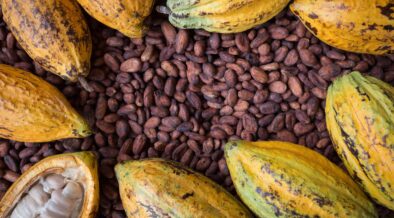 Ivory Coast Cocoa Traceability Stalls at 48% as EU Deforestation Rules Near
