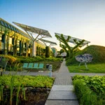 OECD Says Developed Countries Exceeded $100 Billion Climate Finance Goal For Third Year