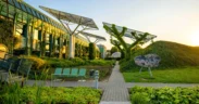 OECD Says Developed Countries Exceeded $100 Billion Climate Finance Goal For Third Year