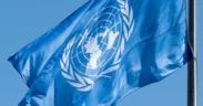 UN Carbon Market Body Adopts N₂O Methodology To Cut Industrial Emissions