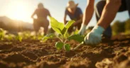 UpLink Launches Global Land Restoration Challenge Targeting $23 Trillion Risk