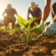 UpLink Launches Global Land Restoration Challenge Targeting $23 Trillion Risk