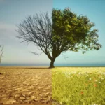 100×100 Launches $100 Million Fund to Build 50 Climate Startups Across India and Southeast Asia