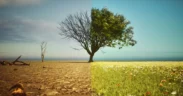 100×100 Launches $100 Million Fund to Build 50 Climate Startups Across India and Southeast Asia