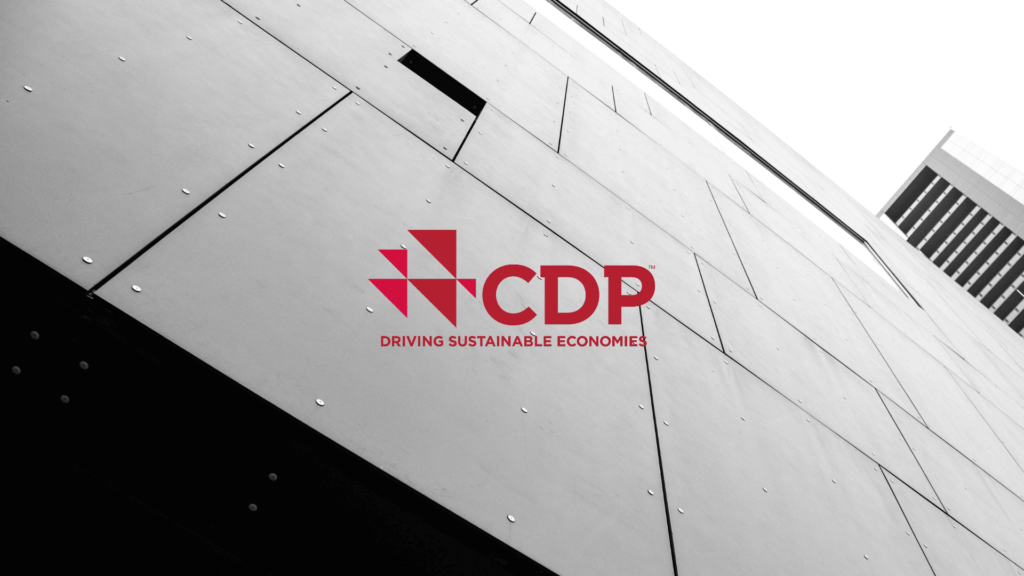CDP Announces New Structure and Permira Investment to Scale Climate Data Platform