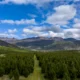 New Forests Launches $700 Million Global Natural Capital Fund With Carbon, Biodiversity Investments