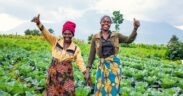 Uganda, UK And UNDP Launch World Environment Day Climate Action Push