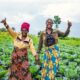 Uganda, UK And UNDP Launch World Environment Day Climate Action Push